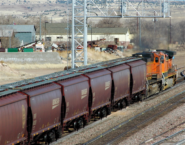 BNSF Covered Hoppers.JPG