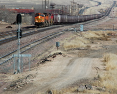 BNSF
                in Seligman AZ.JPG