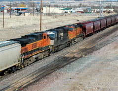 Grain train in Seligman AZ.JPG