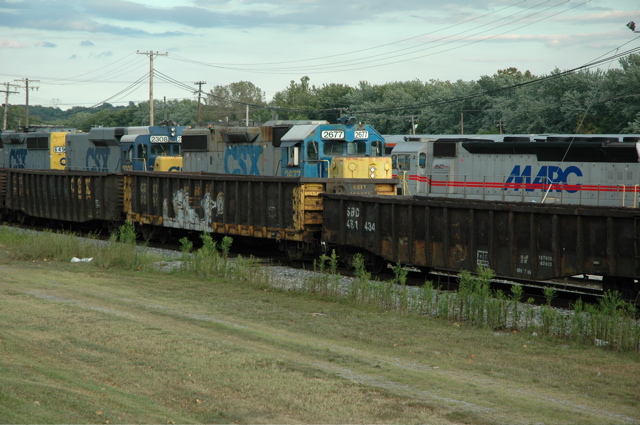 Busy Brunswick Tracks.JPG