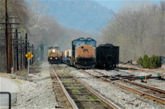 Tank car
                train approaching Brunswick.JPG