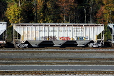 CSXT 250197
                Ex-Family Lines Hopper.JPG