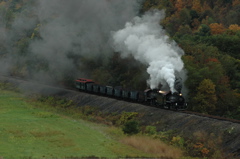 Narrow Gauge Steam East.JPG