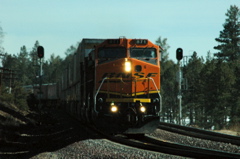 BNSF spliting the signals near Flagstaff