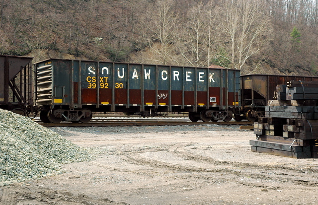 CSXT 999230 repaint Squaw Creek.JPG