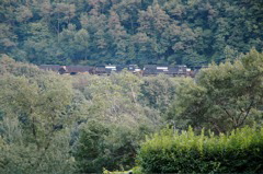 NS unit coal train.JPG