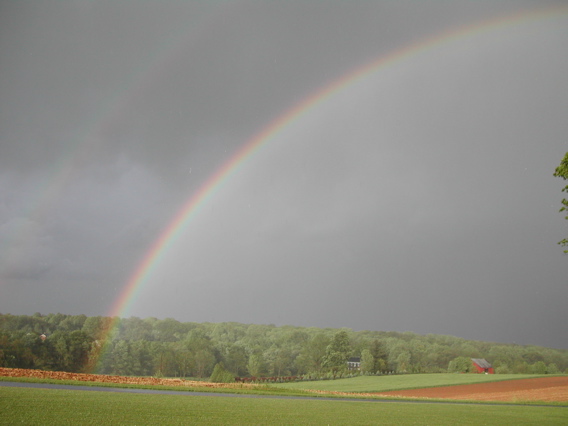 Double Rainbow.jpg